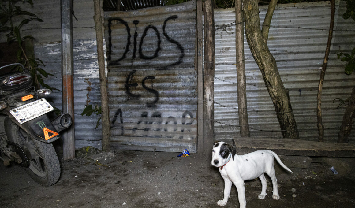 El A O De La Hu Da As Es Shalom La Colonia M S Peligrosa De