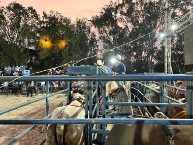 El aspirante a rector, Walter Mazariegos, organizó un jaripeo en la Usac.